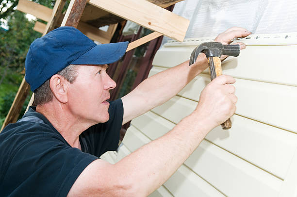 Best Insulated Siding Installation  in St David, AZ